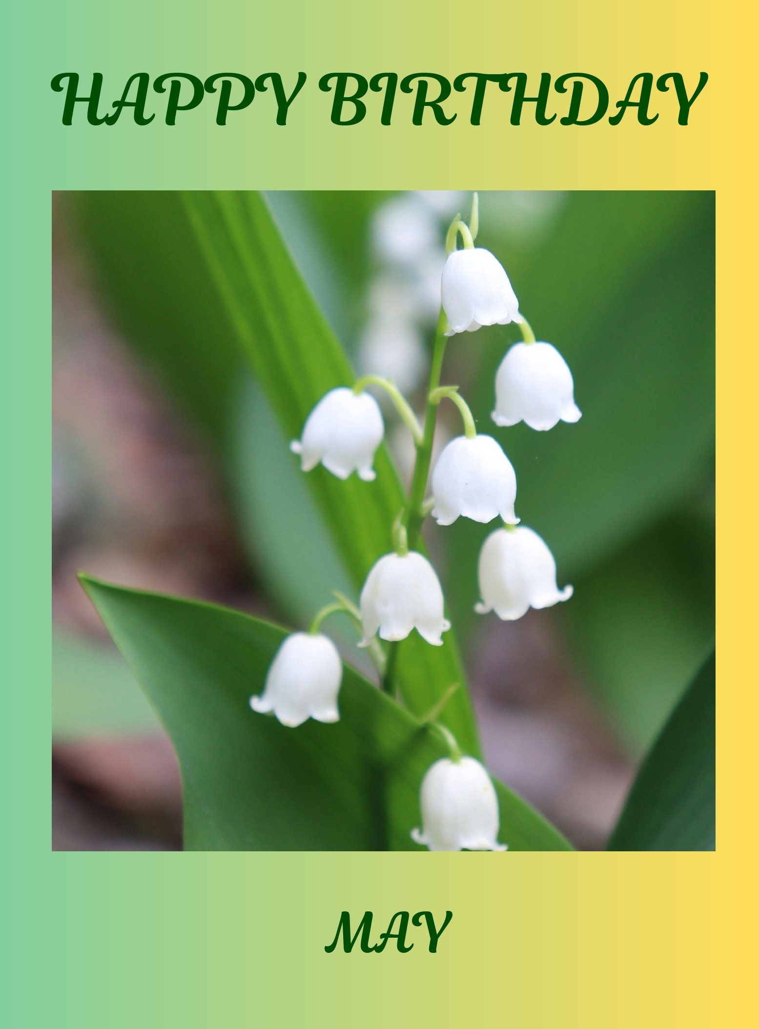 May Birth Flower Card